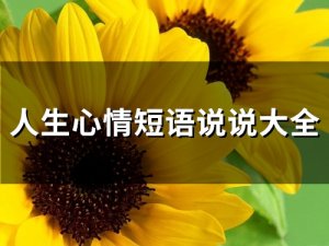 ​人生心情短语说说大全(93句)