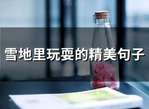 ​雪地里玩耍的精美句子(68句)