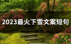 ​2023最火下雪文案短句(精选68句)