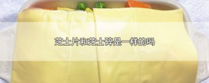​芝士片和芝士碎是一样的吗