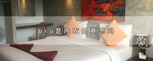 ​bro是内衣的意思吗