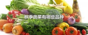 ​秋季蔬菜有哪些品种