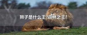 ​狮子是什么王?森林之王?