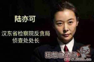 ​人民的名义陆亦可最后结局是什么？