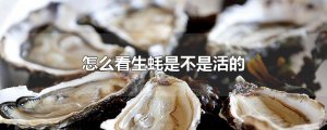​怎么看生蚝是不是活的
