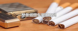 ​整条烟放车里怕冻吗