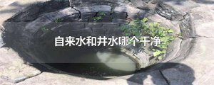 ​自来水和井水哪个干净