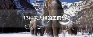 ​13种未灭绝的史前动物