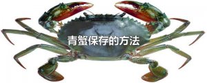 ​青蟹保存的方法