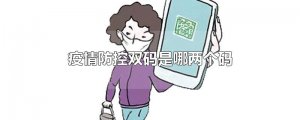 ​疫情防控双码是哪两个码
