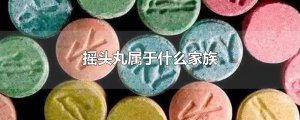 ​摇头丸属于什么家族