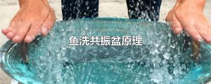 ​鱼洗共振盆原理