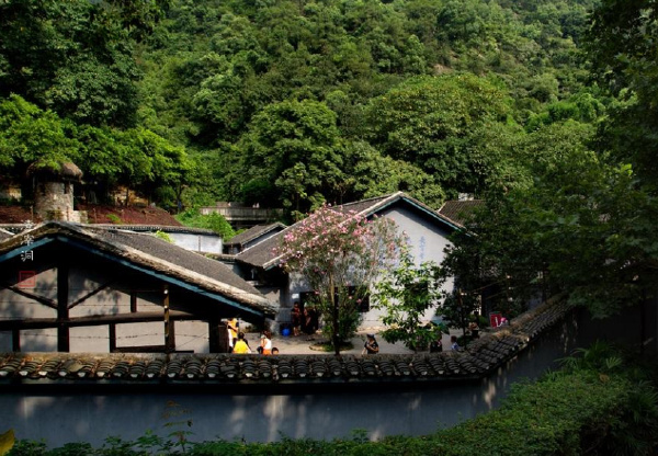 重庆十大特色景点排行榜 重庆值得打卡的景区排名