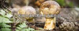 ​松茸外面的黑色东西能吃吗