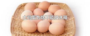 ​土鸡蛋为啥不能放冰箱