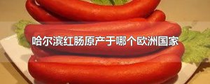 ​哈尔滨红肠原产于哪个欧洲国家
