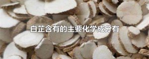 ​白芷含有的主要化学成分有