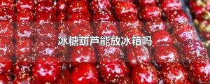 ​冰糖葫芦能放冰箱吗