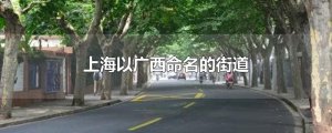 ​上海以广西命名的街道