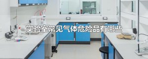 ​实验室常见气体危险品有哪些