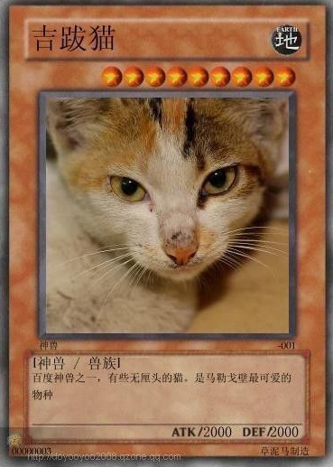 网络最火十大神兽：草泥马的原型原来是它