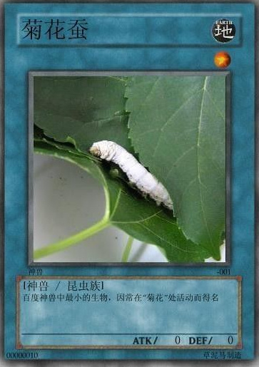 网络最火十大神兽：草泥马的原型原来是它