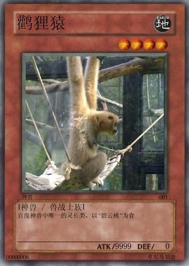 网络最火十大神兽：草泥马的原型原来是它