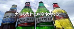 ​大乌苏为什么叫夺命大乌苏