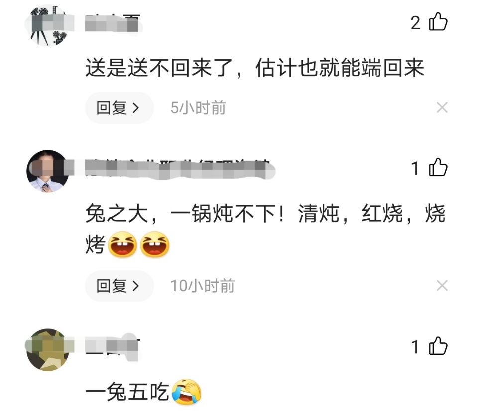 世界最大的兔子，长1.3米重45斤，英国明星兔，数日前却被偷走了