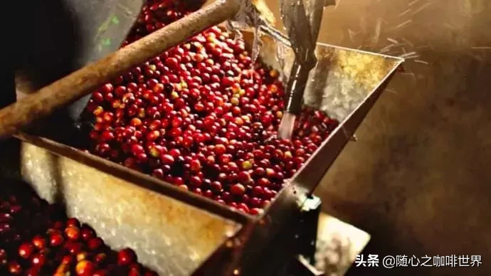 大自然的馈赠｜来看看世界顶级咖啡的诞生地