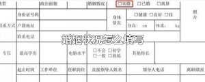 ​婚姻状况怎么填写