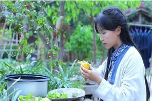 ​抖音网红排名最新，抖音网红排名前十