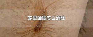 ​家里蚰蜒怎么清除
