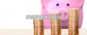 ​家庭经济状况包括