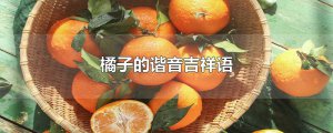 ​橘子的谐音吉祥语