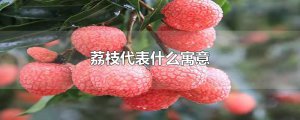 ​荔枝代表什么寓意