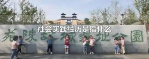 ​社会实践经历是指什么