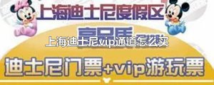 ​上海迪士尼vip通道怎么买