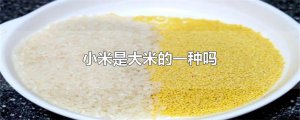 ​小米是大米的一种吗