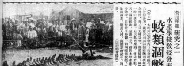 1934年辽宁营口坠龙事件（天降巨龙是吉祥之物人们有的用苇席给怪兽塔凉棚）(1)_