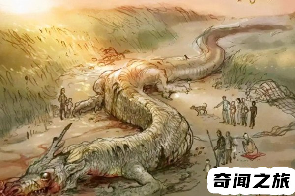 1943年营口坠龙事件（1943年营口坠龙事件是真的吗）(1)_