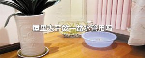 ​屋里太干放一盆水管用吗
