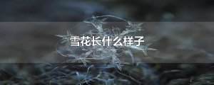 ​雪花长什么样子