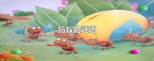 ​蚂蚁的谜语