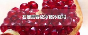 ​石榴需要放冰箱冷藏吗