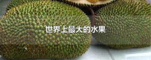 ​世界上最大的水果
