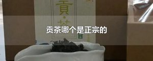 ​贡茶哪个是正宗的