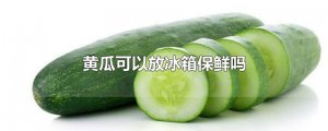 ​黄瓜可以放冰箱保鲜吗