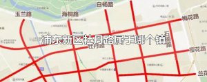 ​浦东新区牡丹路属于哪个镇