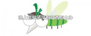 ​晚上有蚊子没有蚊香怎么办